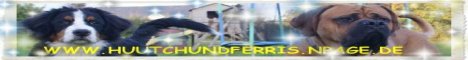Alles �ber unsere  Hunde
