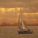 Sail away