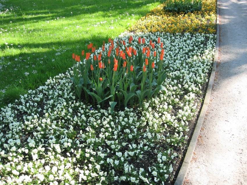 Kurpark / Anlagen